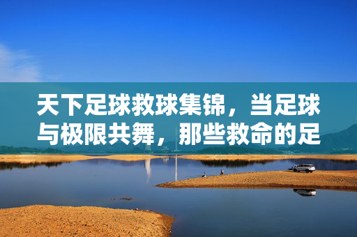 天下足球救球集锦，当足球与极限共舞，那些救命的足球诗篇，足球与极限共舞，救球诗篇