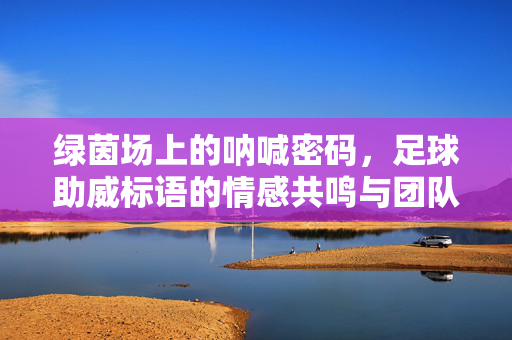 绿茵场上的呐喊密码,足球助威标语的情感共鸣与团队灵魂,绿茵呐喊密码,足球助威标语的情感共鸣与团队灵魂