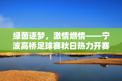 绿茵逐梦，激情燃情——宁波高桥足球赛秋日热力开赛，宁波高桥秋日足球赛燃情开赛