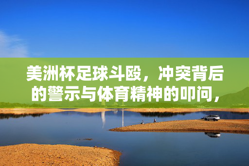美洲杯足球斗殴，冲突背后的警示与体育精神的叩问，美洲杯足球斗殴，冲突警示与体育精神叩问