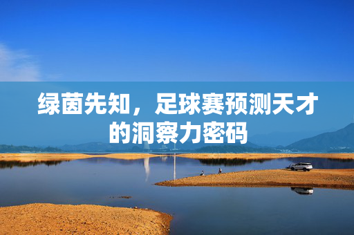 绿茵先知，足球赛预测天才的洞察力密码
