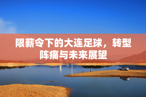 限薪令下的大连足球，转型阵痛与未来展望