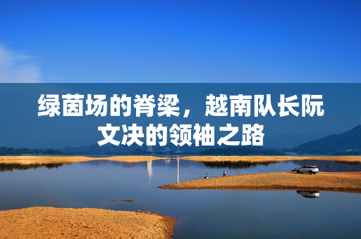 绿茵场的脊梁，越南队长阮文决的领袖之路