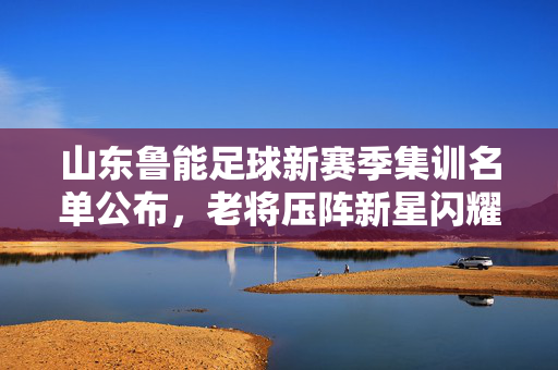山东鲁能足球新赛季集训名单公布，老将压阵新星闪耀，剑指联赛与杯赛双线突破，山东鲁能新赛季集训名单，老将压阵新星闪耀 剑指双线突破