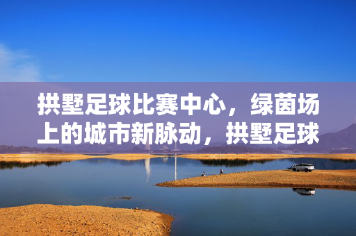 拱墅足球比赛中心，绿茵场上的城市新脉动，拱墅足球比赛中心，绿茵场上的城市新脉动