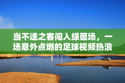 当不速之客闯入绿茵场，一场意外点燃的足球视频热浪