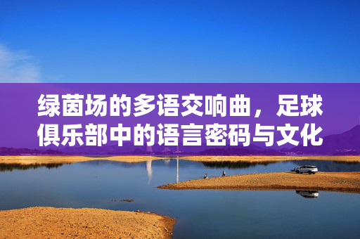 绿茵场的多语交响曲,足球俱乐部中的语言密码与文化桥梁,绿茵场的多语交响曲,足球俱乐部中的语言密码与文化桥梁