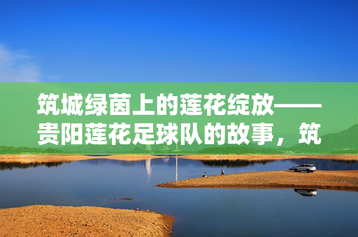 筑城绿茵上的莲花绽放——贵阳莲花足球队的故事，筑城绿茵莲花绽放
