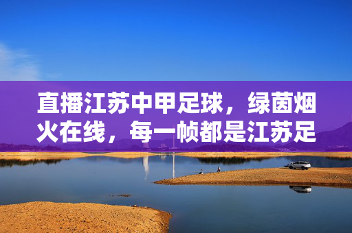 直播江苏中甲足球,绿茵烟火在线,每一帧都是江苏足球的心跳,江苏中甲直播,绿茵烟火映心跳,每一帧都是江苏足球的脉搏