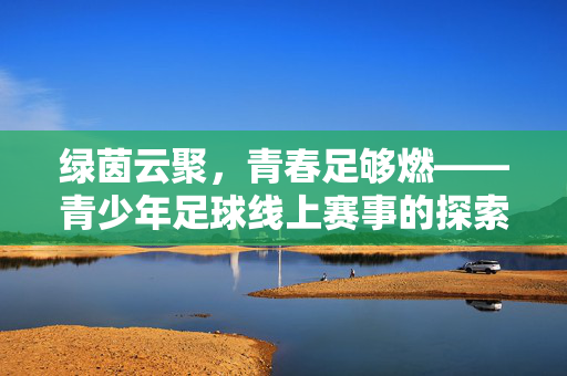 绿茵云聚,青春足够燃——青少年足球线上赛事的探索与未来,绿茵云聚,青春足够燃——青少年足球线上赛事的探索与未来