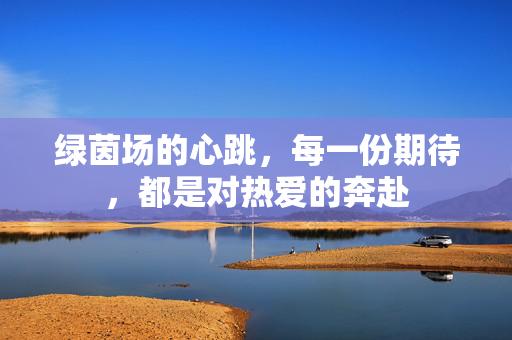 绿茵场的心跳，每一份期待，都是对热爱的奔赴