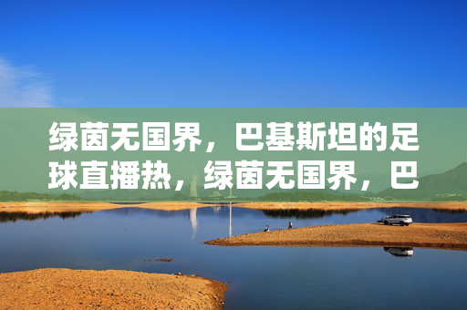 绿茵无国界，巴基斯坦的足球直播热，绿茵无国界，巴基斯坦足球直播热