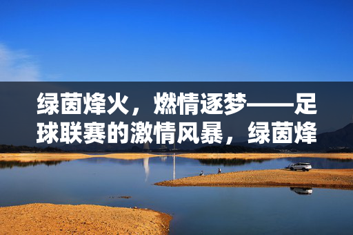 绿茵烽火，燃情逐梦——足球联赛的激情风暴，绿茵烽火燃情逐梦 足球联赛激情风暴