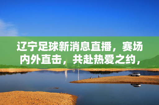 辽宁足球新消息直播，赛场内外直击，共赴热爱之约，辽宁足球新消息直播，赛场内外直击，共赴热爱之约