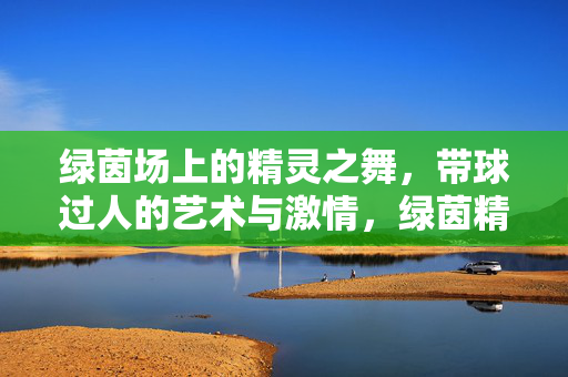 绿茵场上的精灵之舞,带球过人的艺术与激情,绿茵精灵之舞,带球过人的艺术与激情