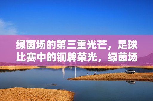 绿茵场的第三重光芒，足球比赛中的铜牌荣光，绿茵场的第三重光芒，铜牌荣光