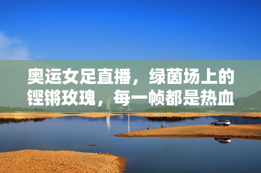奥运女足直播，绿茵场上的铿锵玫瑰，每一帧都是热血与梦想，奥运女足，铿锵玫瑰的热血逐梦