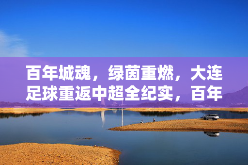 百年城魂，绿茵重燃，大连足球重返中超全纪实，百年城魂，绿茵重燃，大连足球重返中超全纪实