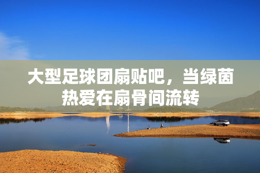 大型足球团扇贴吧，当绿茵热爱在扇骨间流转