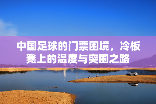 中国足球的门票困境,冷板凳上的温度与突围之路