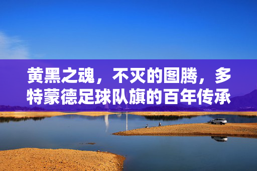 黄黑之魂,不灭的图腾,多特蒙德足球队旗的百年传承