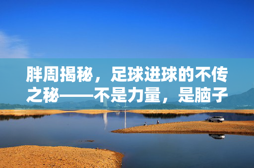 胖周揭秘，足球进球的不传之秘——不是力量，是脑子，胖周揭秘足球进球不传之秘，脑子而非力量