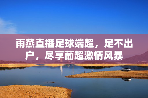 雨燕直播足球端超,足不出户,尽享葡超激情风暴