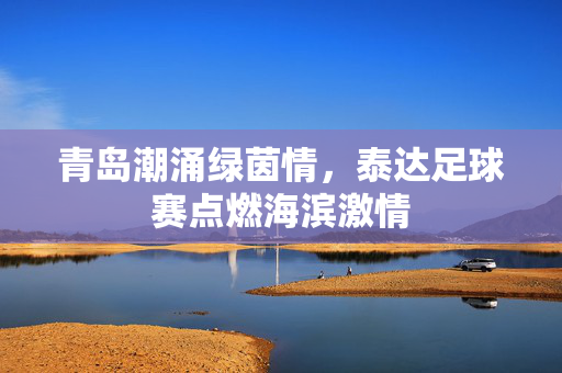青岛潮涌绿茵情，泰达足球赛点燃海滨激情