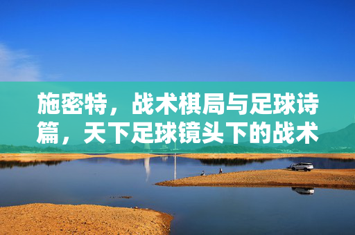 施密特，战术棋局与足球诗篇，天下足球镜头下的战术大师，施密特，战术棋局里的足球诗篇