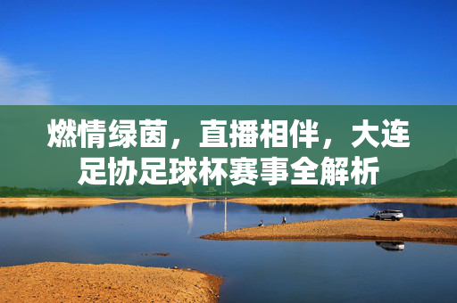 燃情绿茵，直播相伴，大连足协足球杯赛事全解析