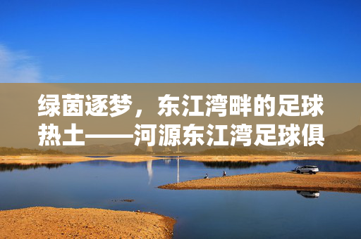 绿茵逐梦，东江湾畔的足球热土——河源东江湾足球俱乐部纪实，东江湾足球俱乐部的逐梦热土