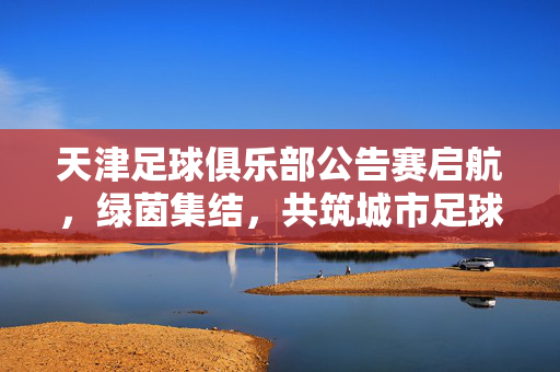 天津足球俱乐部公告赛启航，绿茵集结，共筑城市足球新篇，天津足球俱乐部公告赛启航 共筑城市足球新篇