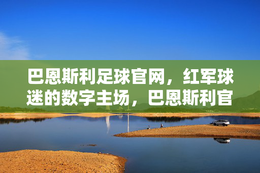 巴恩斯利足球官网，红军球迷的数字主场，巴恩斯利官网，红军球迷数字主场