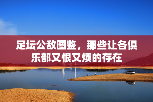足坛公敌图鉴,那些让各俱乐部又恨又烦的存在