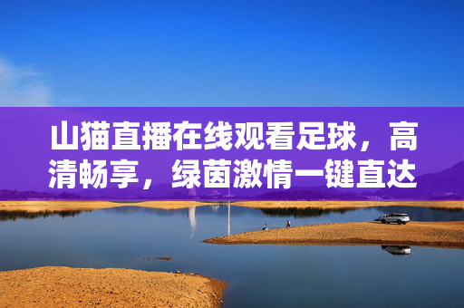 山猫直播在线观看足球,高清畅享,绿茵激情一键直达