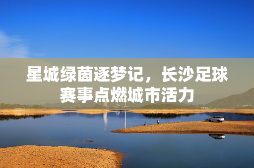 星城绿茵逐梦记,长沙足球赛事点燃城市活力