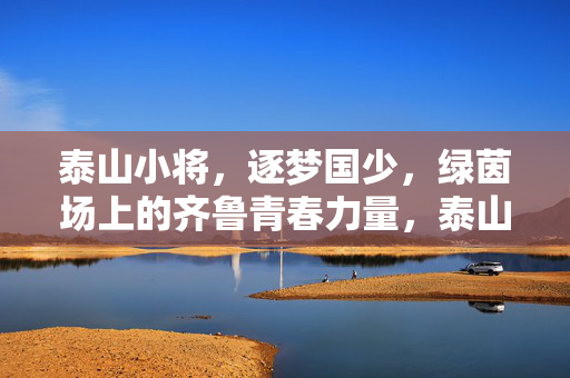 泰山小将，逐梦国少，绿茵场上的齐鲁青春力量，泰山小将逐梦国少，绿茵场上的齐鲁青春力量
