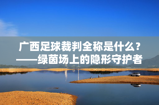 广西足球裁判全称是什么？——绿茵场上的隐形守护者，广西足球裁判，绿茵场上的隐形守护者