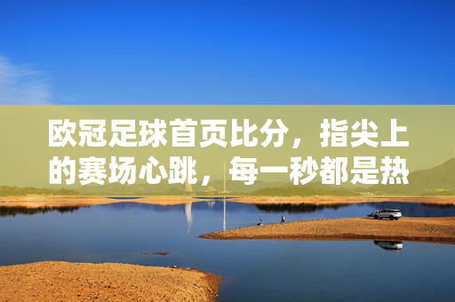 欧冠足球首页比分,指尖上的赛场心跳,每一秒都是热血沸腾,欧冠指尖赛场,比分即心跳