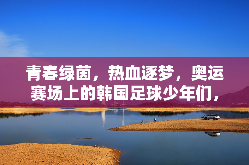 青春绿茵，热血逐梦，奥运赛场上的韩国足球少年们，青春绿茵热血逐梦，奥运赛场韩国足球少年