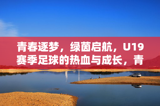 青春逐梦,绿茵启航,U19赛季足球的热血与成长,青春逐梦绿茵启航,U19赛季足球的热血成长