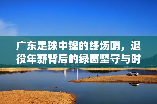 广东足球中锋的终场哨，退役年薪背后的绿茵坚守与时代变迁，广东中锋终场哨，绿茵坚守、年薪与时代变迁