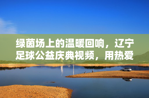 绿茵场上的温暖回响，辽宁足球公益庆典视频，用热爱点亮希望，辽宁足球公益庆典，绿茵场温暖回响，热爱点亮希望