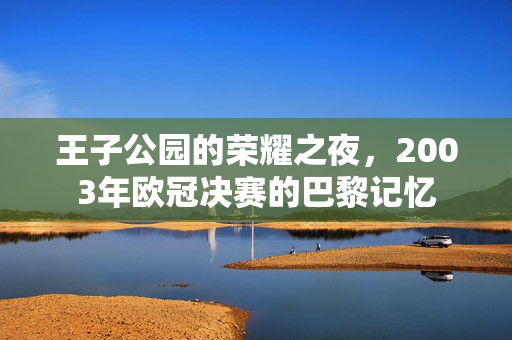 王子公园的荣耀之夜，2003年欧冠决赛的巴黎记忆