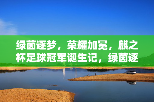 绿茵逐梦，荣耀加冕，麒之杯足球冠军诞生记，绿茵逐梦，荣耀加冕，麒之杯足球冠军诞生