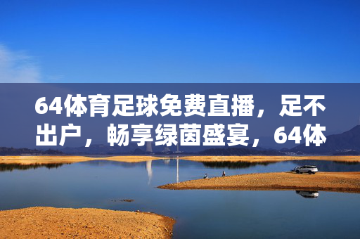 64体育足球免费直播，足不出户，畅享绿茵盛宴，64体育足球免费直播，足不出户畅享绿茵盛宴
