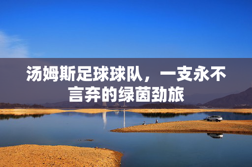 汤姆斯足球球队，一支永不言弃的绿茵劲旅
