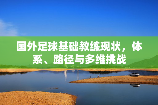 国外足球基础教练现状，体系、路径与多维挑战
