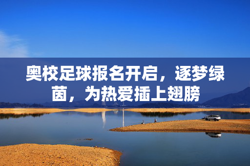 奥校足球报名开启,逐梦绿茵,为热爱插上翅膀