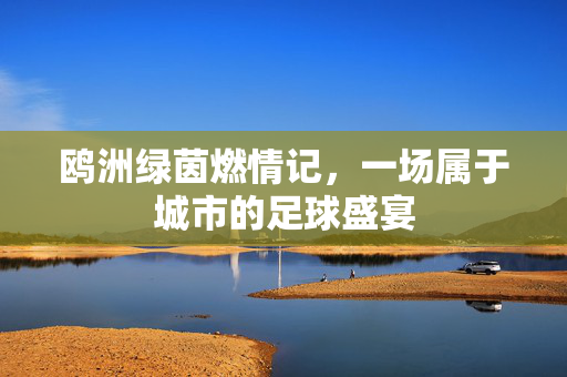 鸥洲绿茵燃情记，一场属于城市的足球盛宴